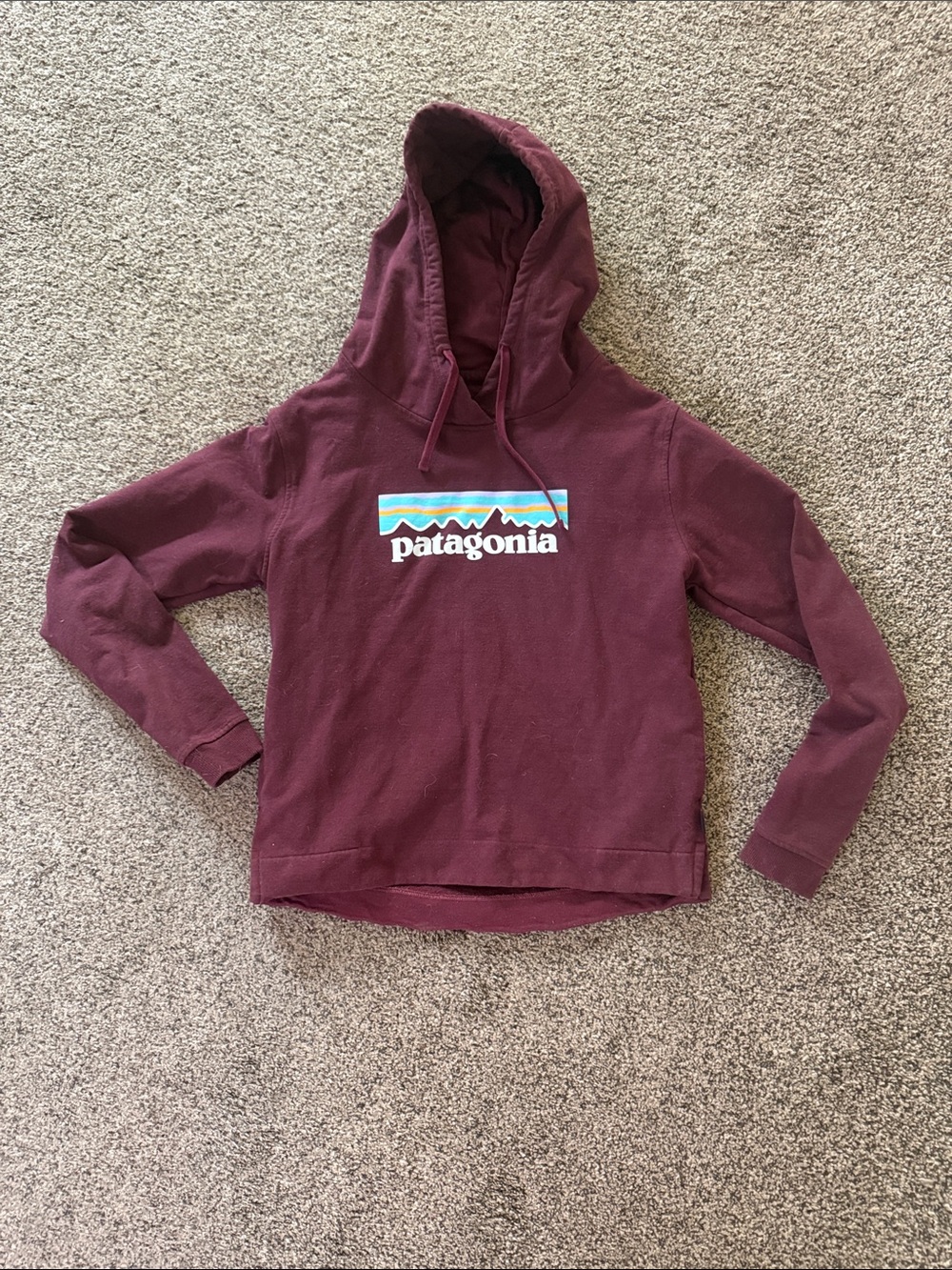 Patagonia Burgundy Pullover Hoodie with Logo